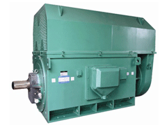 微山Y系列6KV高压电机
